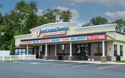 Howell Animal Hospital